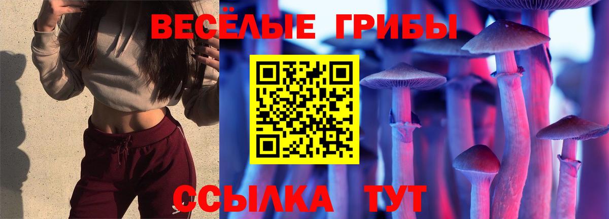 Псилоцибиновые грибы MAGIC MUSHROOMS Калач-на-Дону